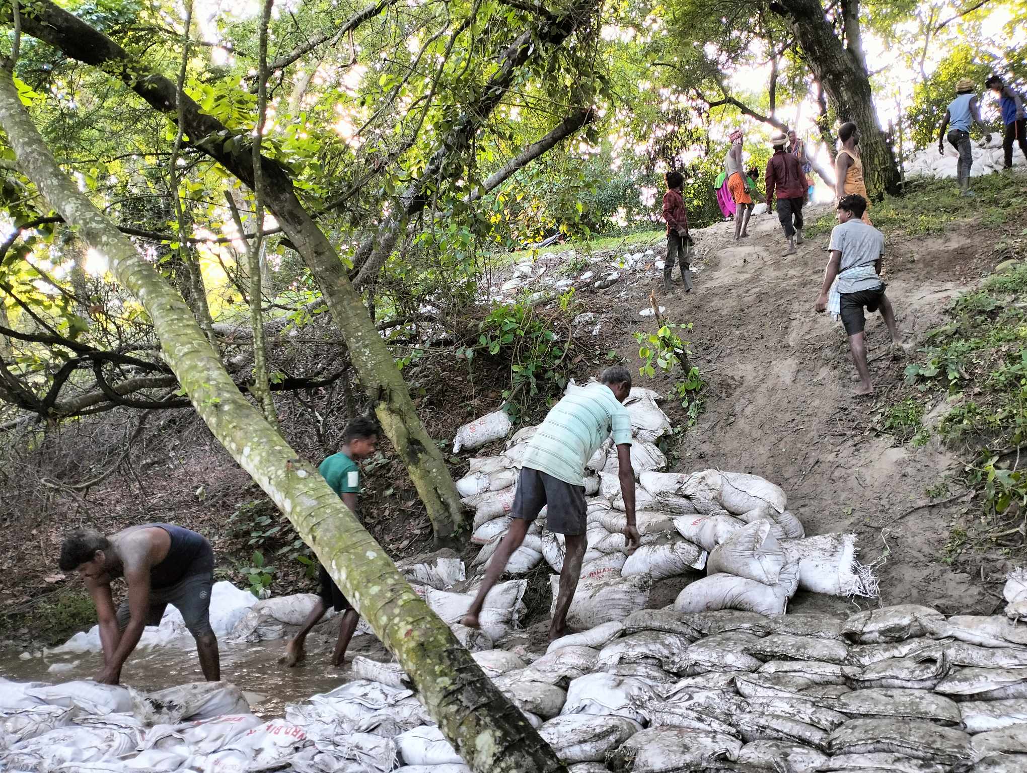 कोसी तटबन्धमा सिपेज : भारतीय पक्षले सुरु गर्‍यो नियन्त्रण