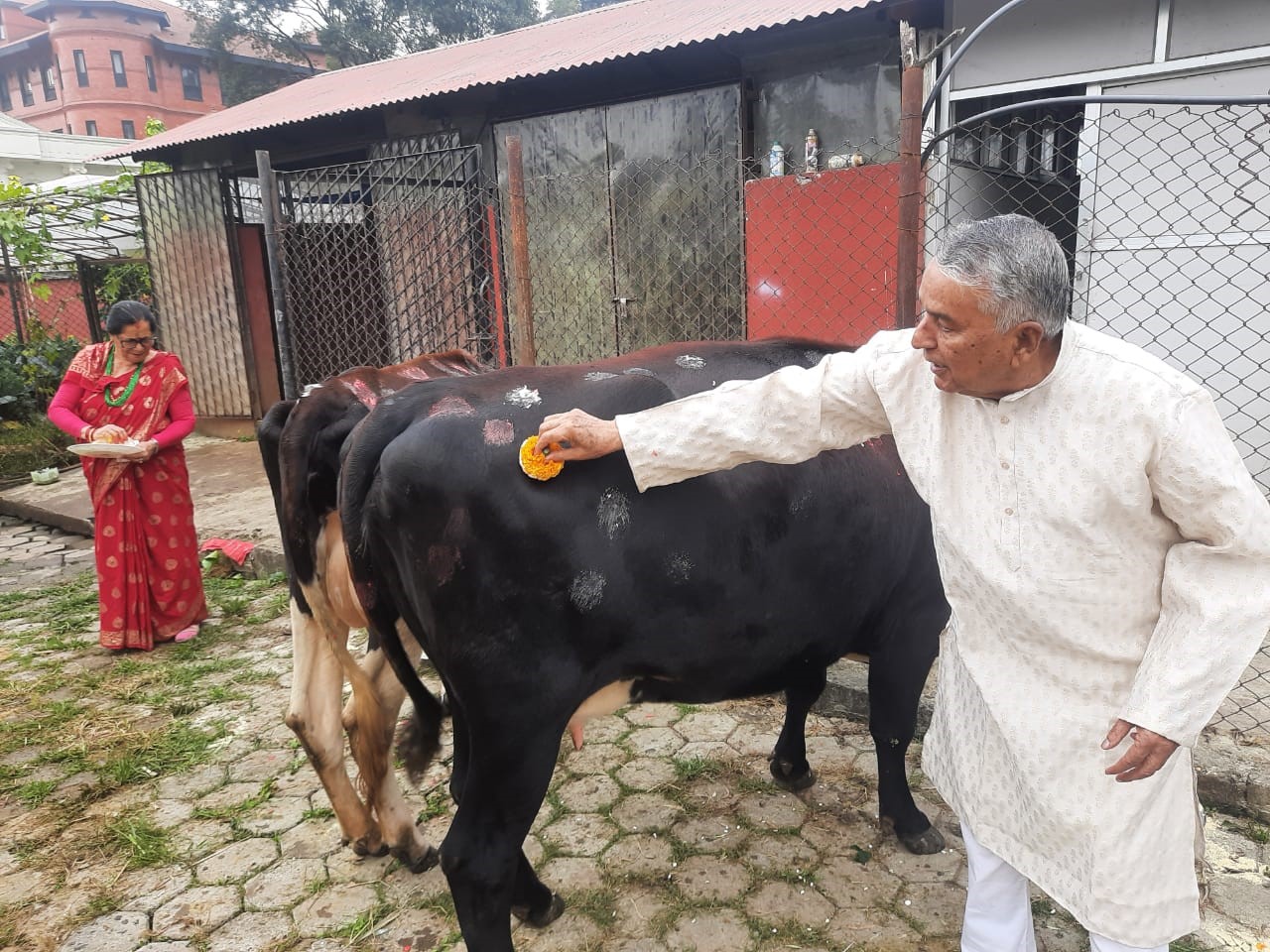 राष्ट्रपति पौडेलले शीतलनिवास गरे गाईपूजा 