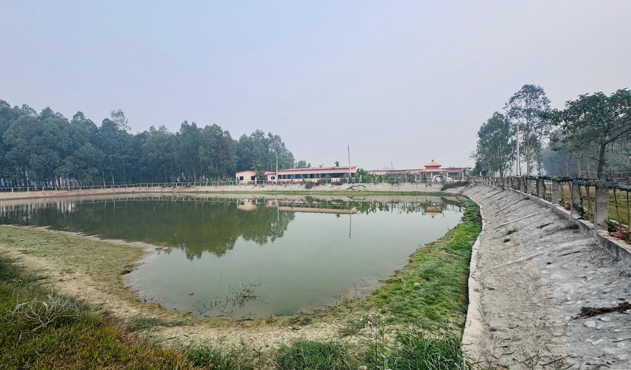 नमुना बन्यो गौरादहको ‘सहकारी खेती’ र ‘कृषि घरबास’
