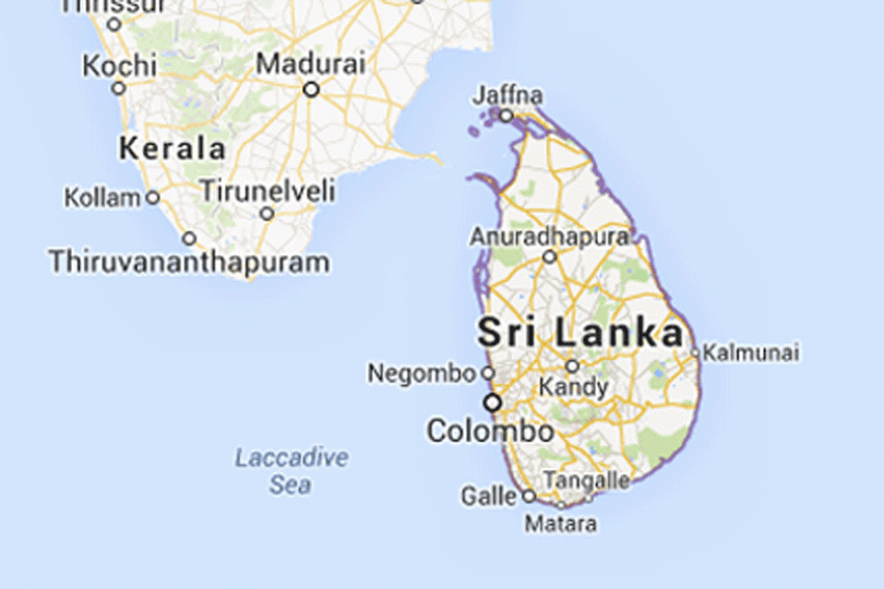श्रीलंकामा डेंगु आतंक