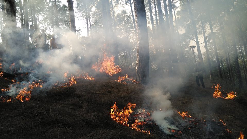 वायु प्रदूषणको जोखिम घटाउन सरकारको ध्यानाकर्षण 