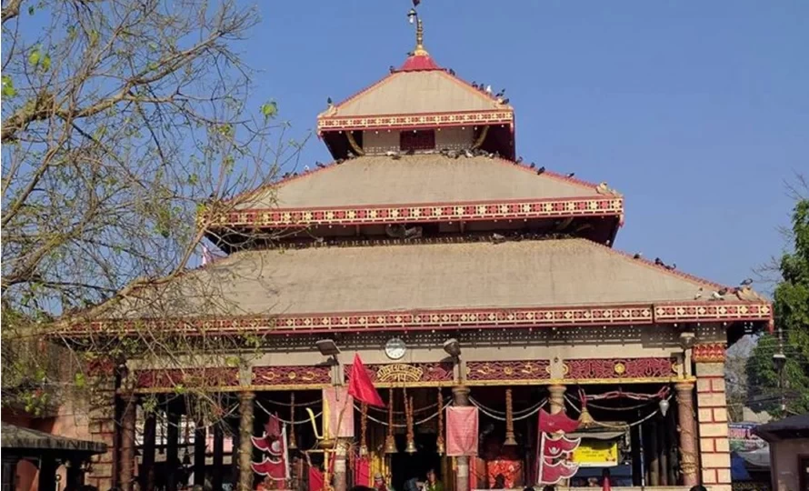 ८४ बिघा व्यक्तिका नाममा