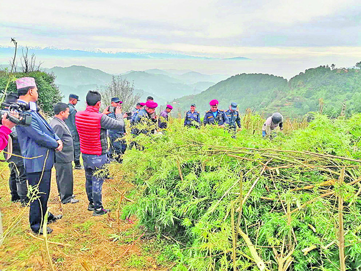 छैन जीविकोपार्जनको विकल्प