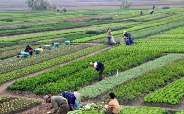 कृषि रणनीति तय गर्दै सरकार : प्रदेशमन्त्रीसँग मन्त्री भुसाल