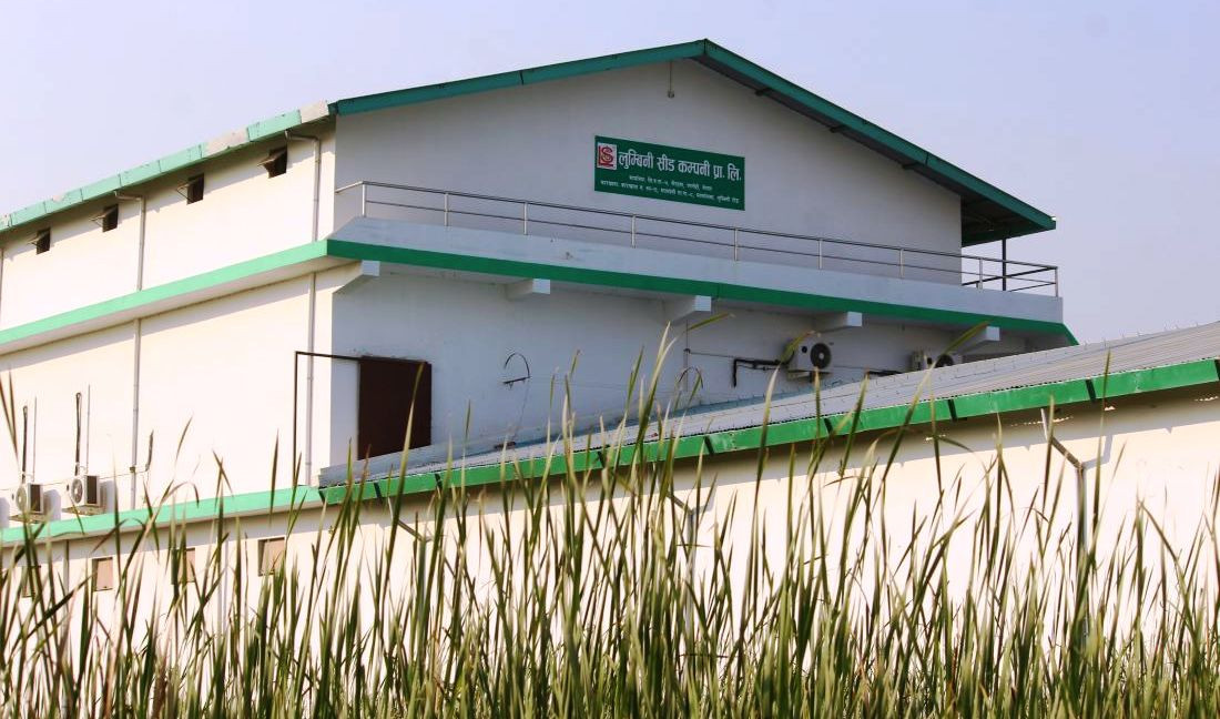 लुम्बिनी सिड कम्पनीले पायाे बिउ प्रशोधन कारखाना प्रमाणित नम्बर