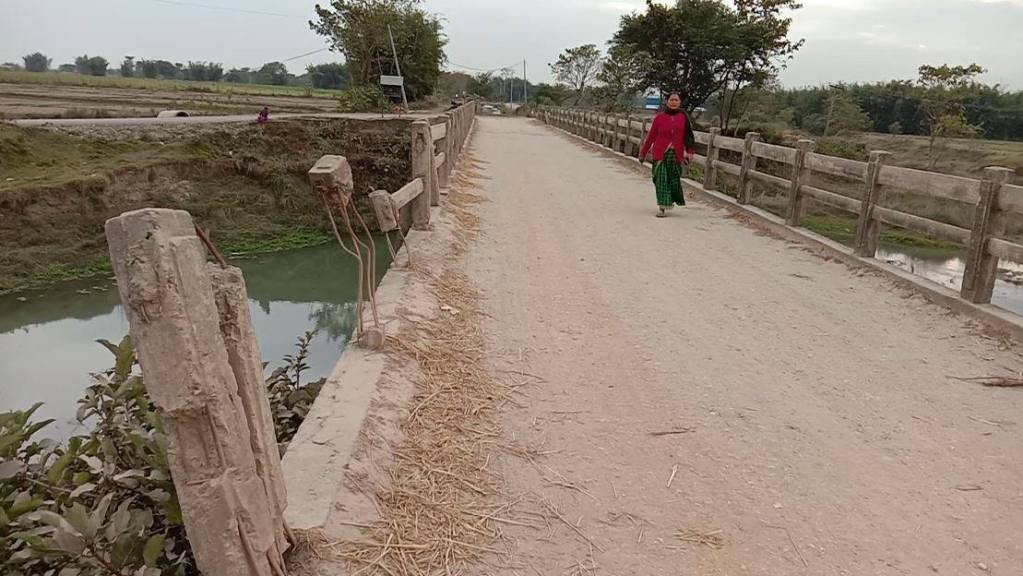 नहरको पुल जीर्ण बन्दा हजारौँ किसान सिँचाइ सुविधाबाट वञ्चित