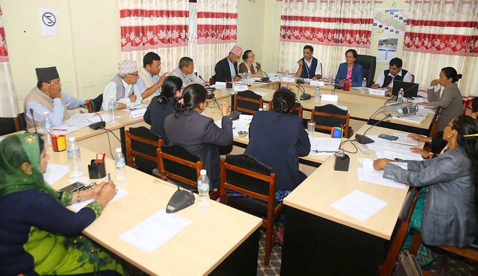 रेडक्रसमा छानबिनको माग