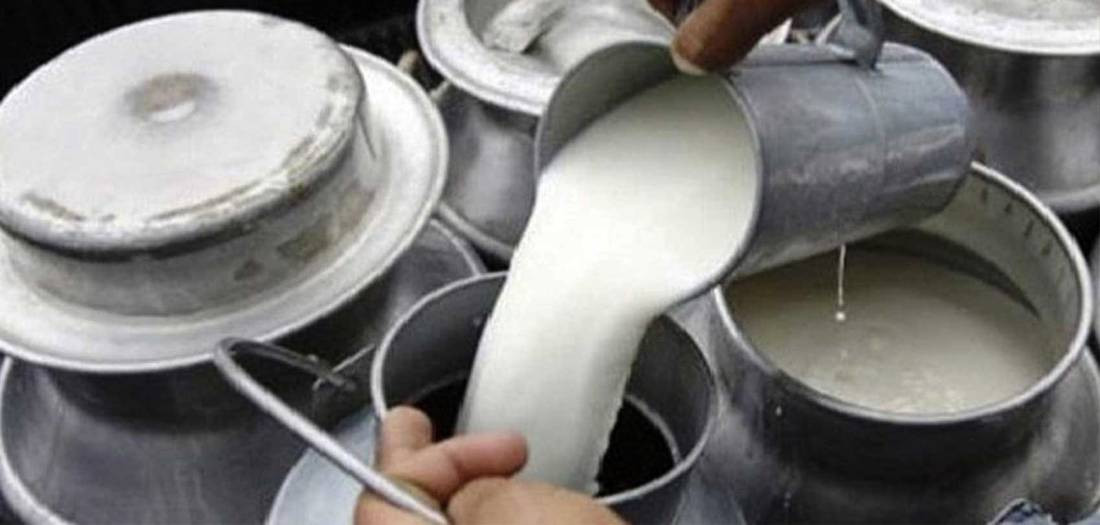 कोरोना कहर :  सहकारीले उत्पादन गर्ने दूध ढुवानी ठप्प