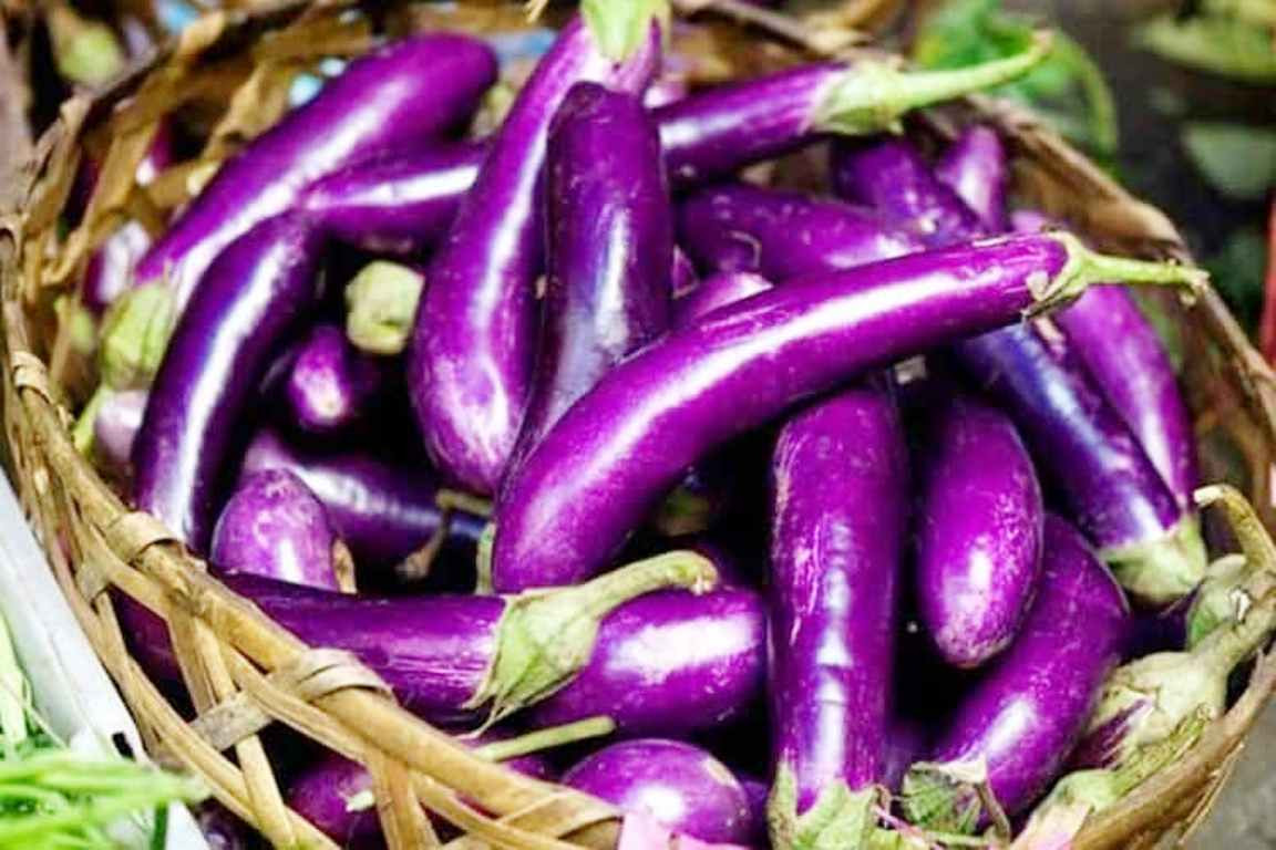 किसानले बाँडे निःशुल्क तरकारी