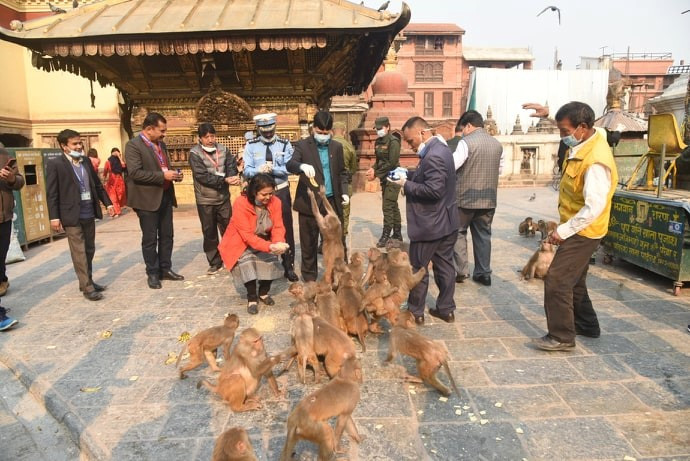 पशुपक्षीलाई आहार बाँड्न मेयर शाक्यसहितको टोली पुग्यो स्वयम्भू, बौद्ध र पशुपति