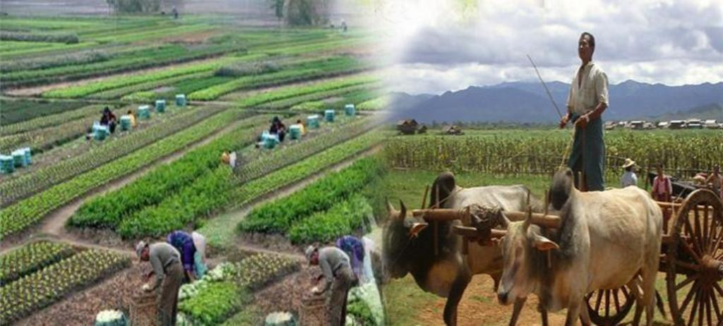 कृषिमा आक्रामक लगानी विस्तारको नीतिमा कृषि विकास बैंक, नेतृत्व दिने गरी मौद्रिक नीतिको तयारी
