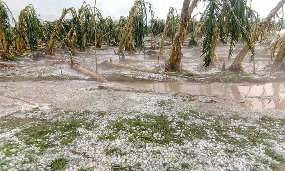 हावाहुरी र असिनाले पुर्‍याएको क्षतिको विवरण लिइने