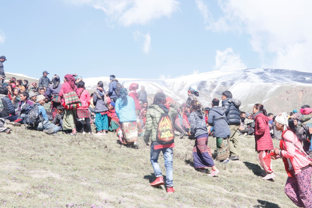 डोल्पामा यार्सागुम्बा संकलन गर्न रोक