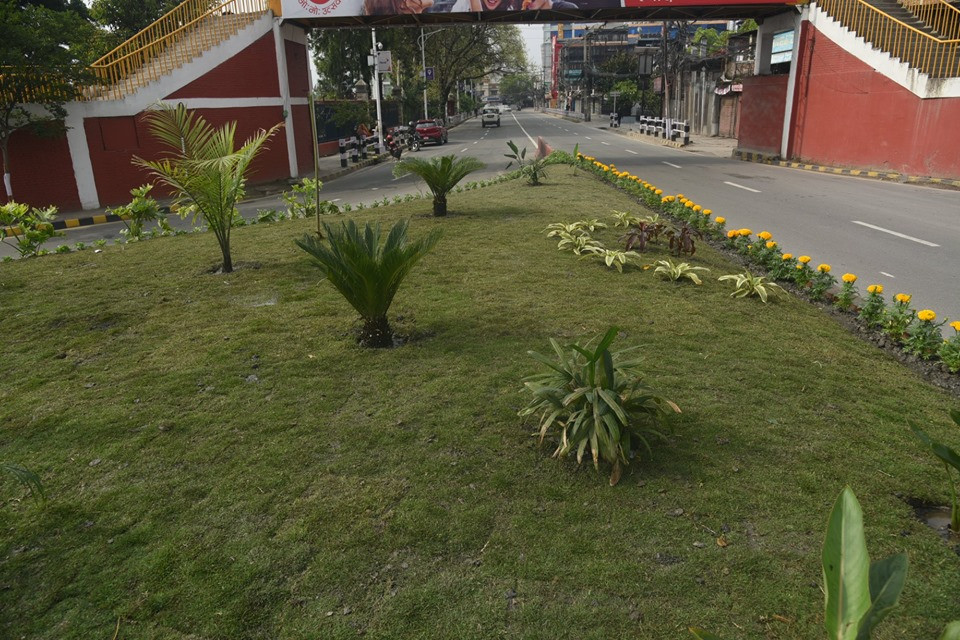 ट्राफिक आइल्याण्ड र हरियाली प्रवर्द्धन सहमति पुनरवलोकन गर्दै महानगर
