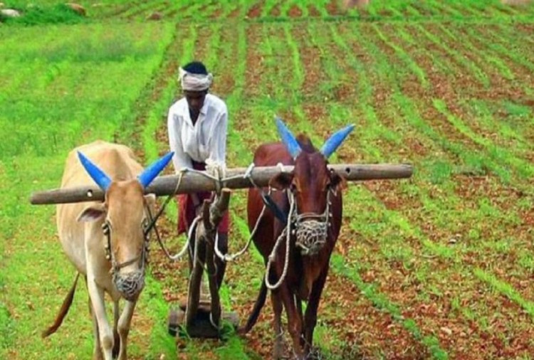 ‘कृषि क्षेत्रका लागि ५० अर्बको पुनर्कर्जाको व्यवस्था हुनुपर्छ’