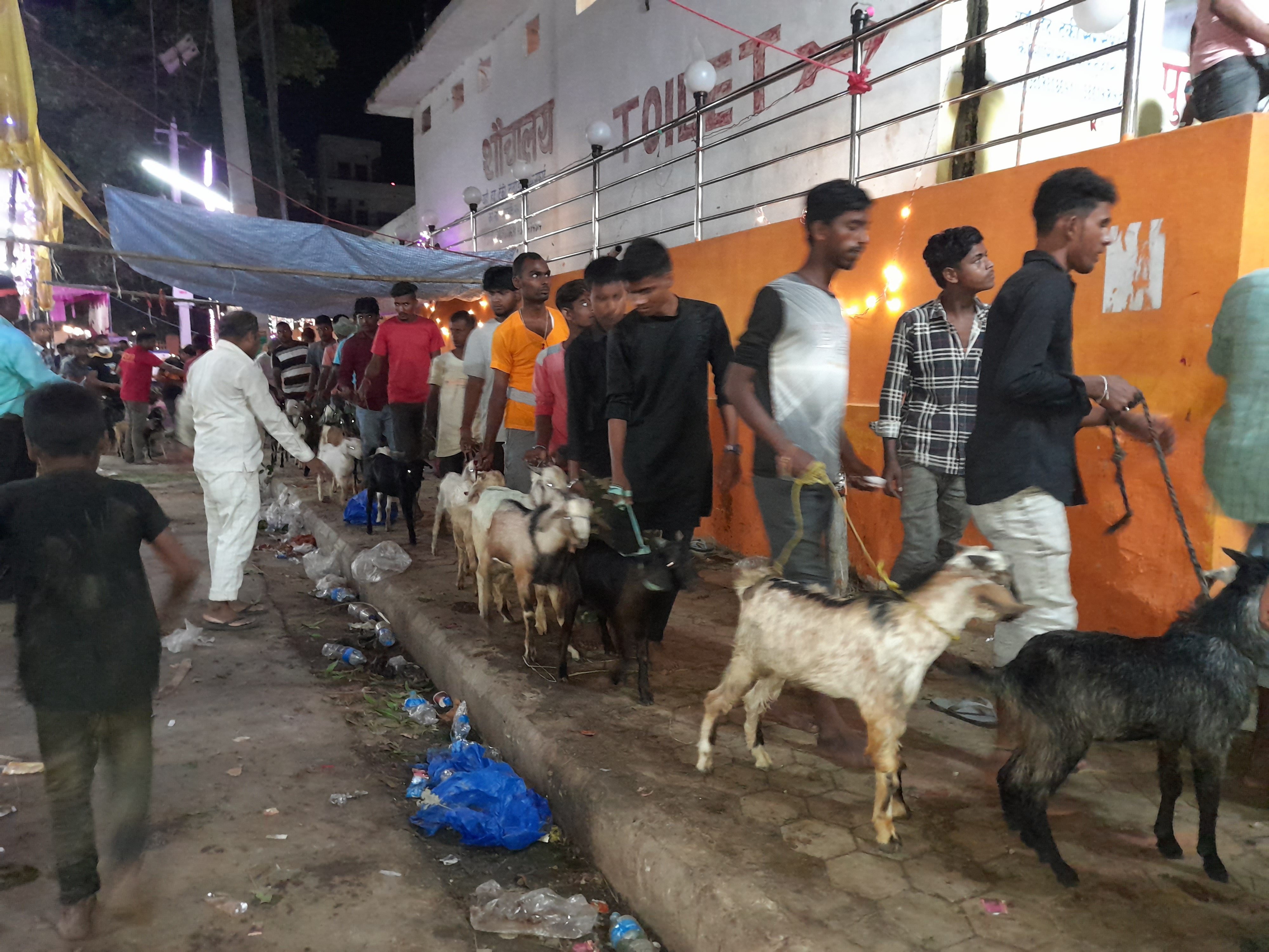 जनकपुरकाे राजदेवी मन्दिरमा १५ हजार बाेकाकाे बली दिइयाे