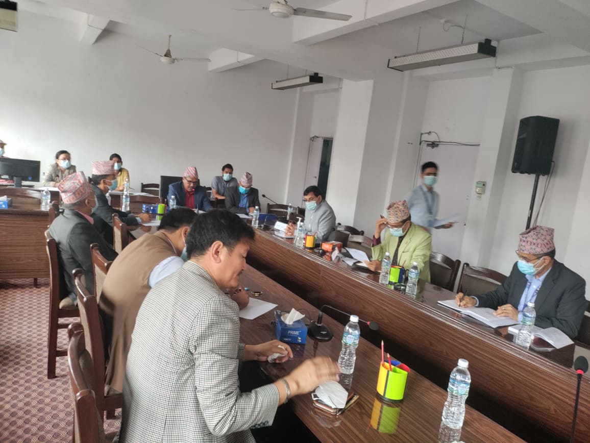 धितोपत्र बोर्ड र नेप्सेका पदाधिकारीलाई कारबाही गर्न अर्थ समितिको निर्देशन