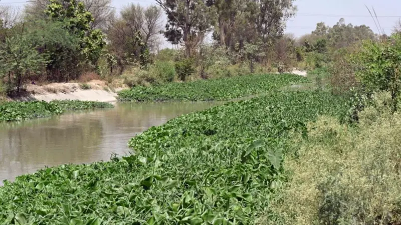 भारतको ओडिसामा इजरायली युवतीमाथि सामूहिक बलात्कार, बचाउने प्रयास गरेका युवकको हत्या