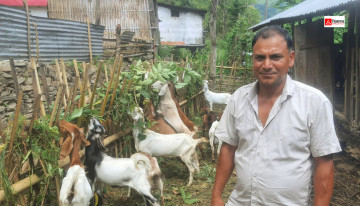 बाख्रा पालेरै मासिक ५० हजार कमाउने देवेन्द्र भन्छन्– अनुदान त कागजी किसानले पाउँदा रहेछन्