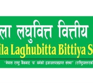 महिला लघुवित्तका लगानीकर्ता मालामाल, यस कारण निरन्तर बढ्दै छ शेयरमूल्य  