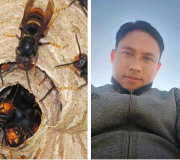 अरिङ्गालको टोकाइबाट भलिबल खेलाडी सुनारको मृत्यु