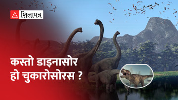 १४ करोड वर्षअगाडिको डाइनासोरको जीवाश्मा भेटिएपछि खुसी भए वैज्ञानिक (भिडियो)