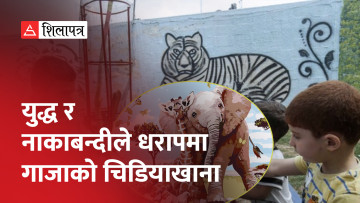प्यालेस्टाइनको चिडियाखाना, जहाँ जनावरको ठाउँमा चित्रहरू कोरिएका छन् (भिडियो)