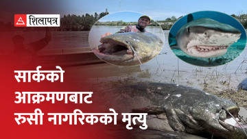 यसरी समातियो अहिलेसम्मकै ठूलो मंगुर माछा ‘क्याट फिस’ (भिडियो)