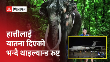 कूटनीतिक विवादपछि ४ हजार किलोको हात्तीलाई श्रीलंकाबाट विमानमा थाइल्यान्ड फर्काइयो (भिडियो)