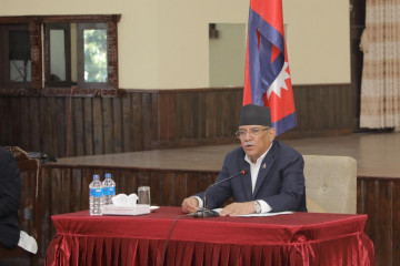 गैरआवासीय नेपालीलाई नागरिकता दिलाउन ठूलाे संघर्ष र मिहिनेत गर्नुपर्‍याे : प्रधानमन्त्री प्रचण्ड