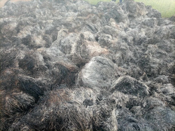 राैतहटमा दाइँ गर्न ठिक्क पारेकाे धानमा कसले लगाइदियाे आगाे ?