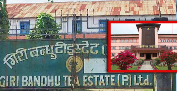 प्रचण्डले भनेजस्तै गिरीबन्धु टि स्टेटको जग्गा विवादमा अब छानबिन हुन सक्छ ?