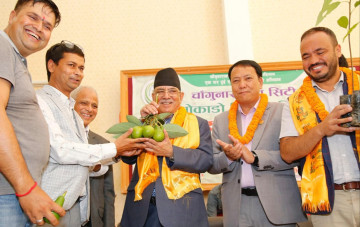 वैदेशिक रोजगारीमा जान बाध्य युवालाई स्वदेशमै आत्मनिर्भर बनाउनुपर्छ : प्रचण्ड