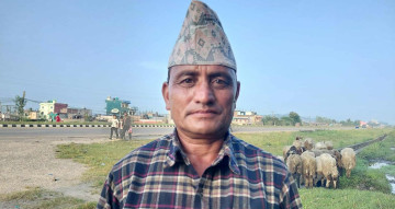 कालीकोटका दलबहादुर सावद : जसले भेडा बेच्न थालेयता परिवारसँग मनाएका छैनन् दसैँ