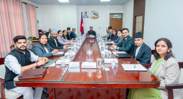 सुरक्षाकर्मीमाथि छानबिन गर्न छुट्टै समिति गठन