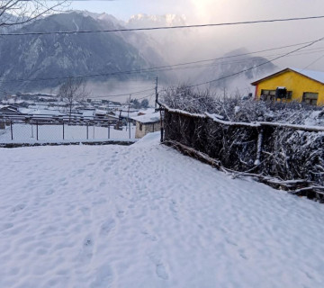 हुम्लामा पुनः हिमपात - तापक्रम माइनस ११ डिग्रीभन्दा माथि