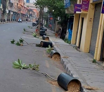एकाबिहानै कसले ढलायो भैरहवा सडकपेटीका १२ गमलासहित बिरुवा ?
