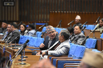 सार्वजनिक सेवासम्बन्धी अध्यादेश प्रतिनिधिसभाबाट बहुमतले पारित