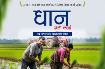 ग्लोबल आईएमई बैंकको 'धान खेती कर्जा' सार्वजनिक, २० लाखसम्म कर्जा पाइने