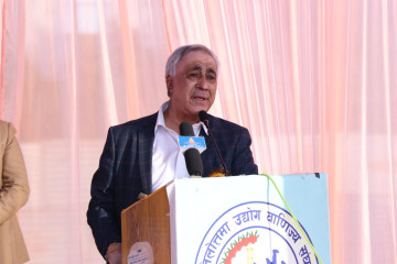 दुःख गरेर ल्याएको संविधान कार्यान्वयन गर्न सकिएन : चन्द्र भण्डारी 