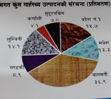 ४८ खर्ब ५१ अर्बको अर्थतन्त्रमा बागमतीको योगदान ३६ प्रतिशत,५.८४ प्रतिशतको वृद्धिदर