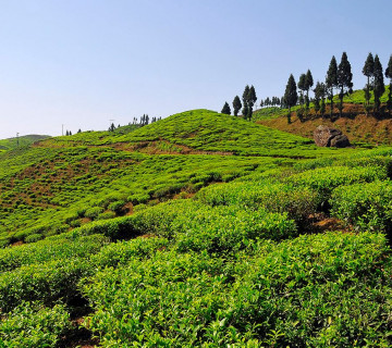 इलाम/भेडेटार : सुन्दरताको खानी