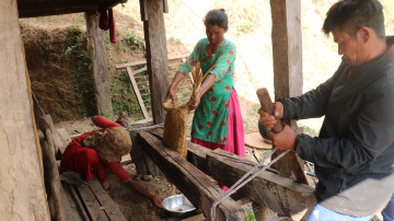 चिउरीबाट घ्यु उत्पादन गर्दै चेपाङ