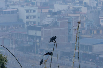 आजदेखि मौसमी गतिविधि बढ्ने, कहा–कहाँ हुँदै छ वर्षा ?