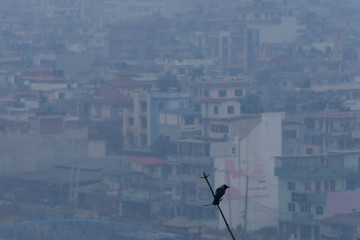 फेरि बढ्यो प्रदूषण, काठमाडाैं बन्यो विश्वकै दोस्रो प्रदूषित शहर