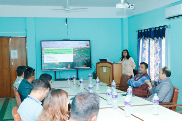 नेपालको रैथाने सयपत्री फूललाई जोगाउन आयातीत सयपत्रीलाई रोक्नुपर्छ : प्रतिवेदन