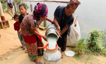 सहकारीमार्फत दूधको बजारीकरण भएपछि किसान उत्साहित