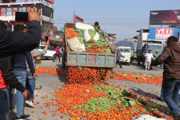 उचित मूल्य नपाएको भन्दै किसानले सडकमा तरकारी फाले