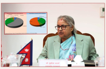 ‘एफडीआई’ यस कारण बन्दै छ सरकारको टाउको दुखाइको खास मुद्दा