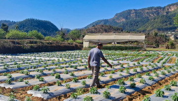 हिजो अर्काको मेलापर्म गर्ने ढकाल आज सफल व्यवसायी